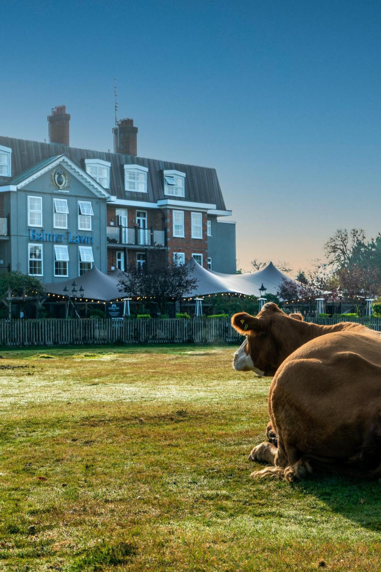Balmer Lawn Brockenhurst Kültér fotó