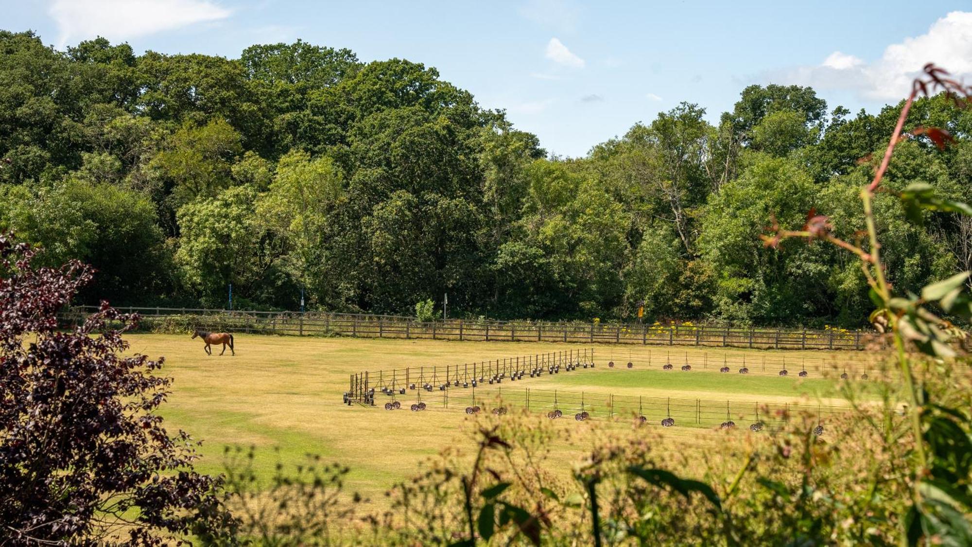 Balmer Lawn Brockenhurst Kültér fotó